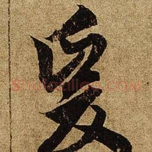 爰