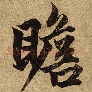 瞻