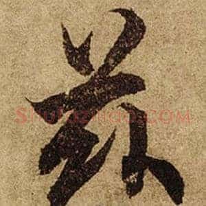 茲