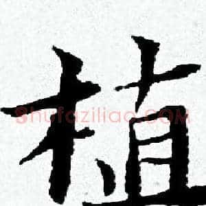植