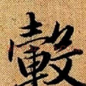 轂
