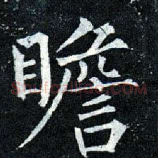 瞻