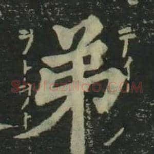 弟