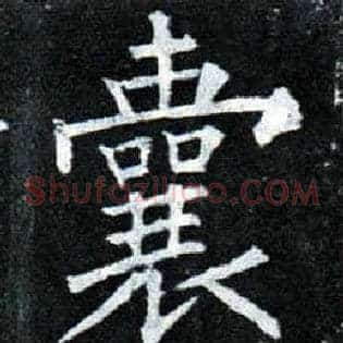 囊