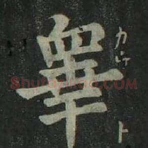 睾
