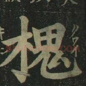 槐