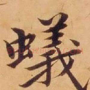 蟻