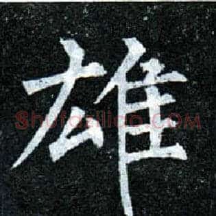 雄