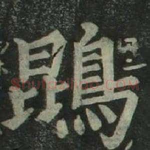 鵾