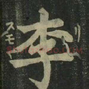李