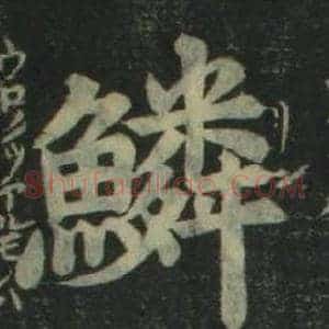 鳞