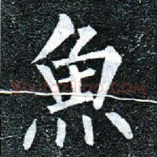 鱼