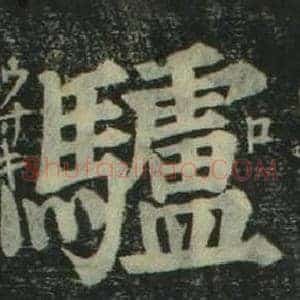 驢