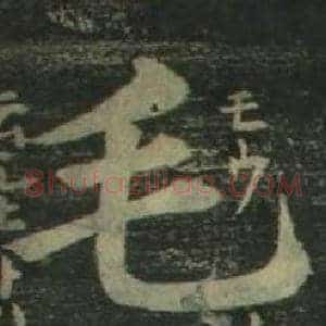 毛