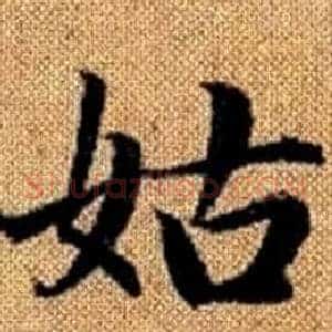姑