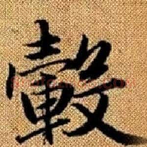 轂