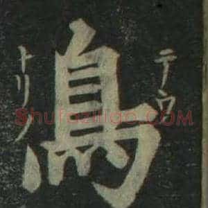 鳥