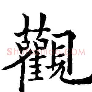 观