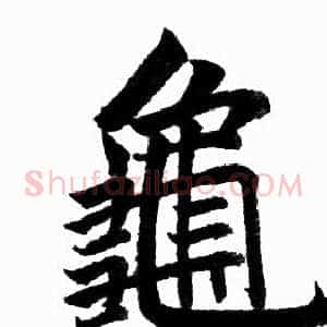 龜