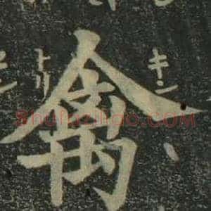 禽