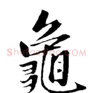 龟