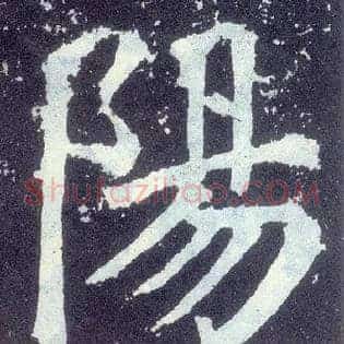 陽