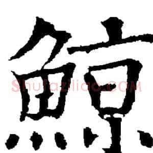 鲸