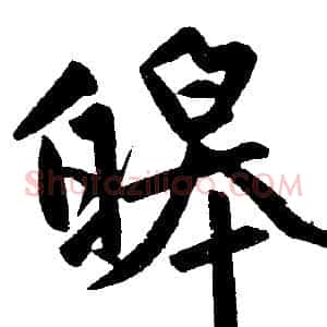 皞