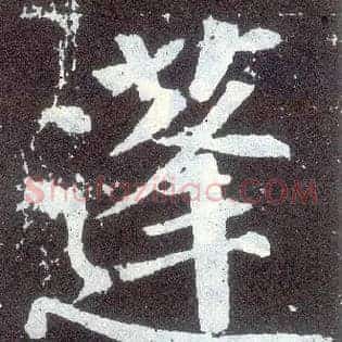 蓬