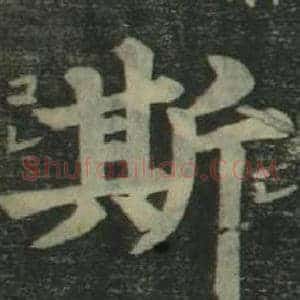 斯