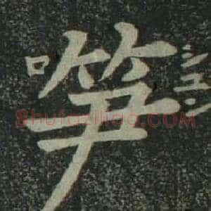 笋