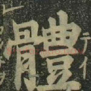 體