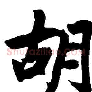 鬍