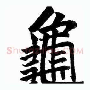 龜