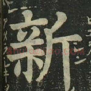 新