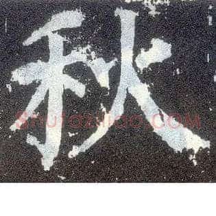 秋
