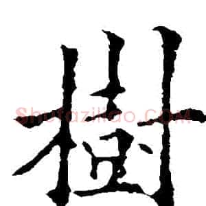 樹