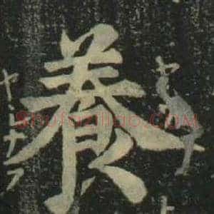 養