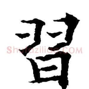 习