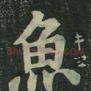 魚