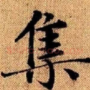 集