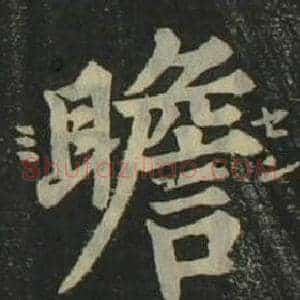 瞻