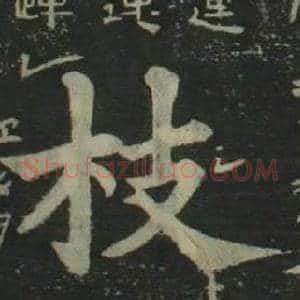 枝