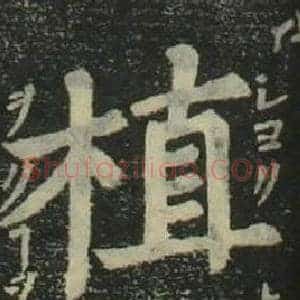 植