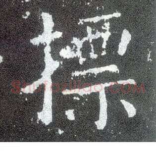 摽