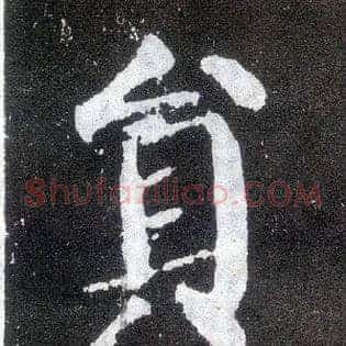 员