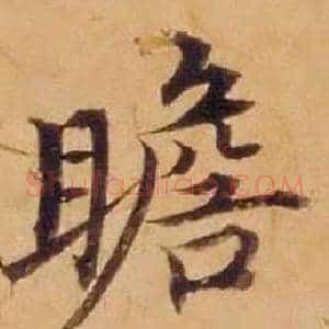 瞻