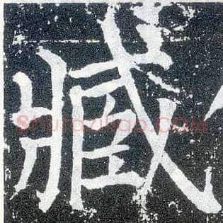 臧