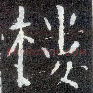楼