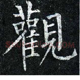 观